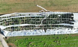 Antalya Büyükşehir'den hortum felaketinde çiftçiye destek