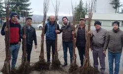 Bilecik Pazaryeri'nde meyveciliğe güçlü destek