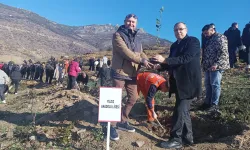 Bursa Gürsu'da 'Türkiye Yüzyılı Maarif Modeli' ışığında fidanlar toprakla buluştu