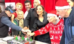 Bursa'da yaşlı çınarlara yılbaşı sürprizi