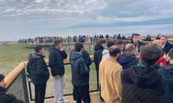 Ateş karıncalarından tarih gezisi