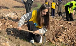 Gürsu'da yanan ormanlar yeniden yeşeriyor... 15 bin fidan toprakla buluştu