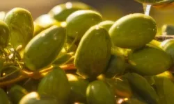 İzmir Kooperatifçilik Buluşmaları 19 Aralık'ta