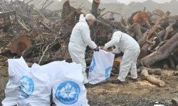 Manisa'da ihtiyaç sahiplerine odun desteği