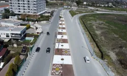 Manisa'da kurakçıl peyzajla büyük tasarruf