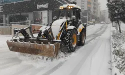 Mardin Büyükşehir de karla mücadelede