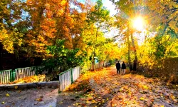 Mardin Yeşilli'de sonbahar büyüsü (Özel Haber)