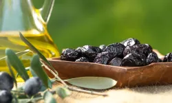 Marmarabirlik üçüncü dilim ödemelere hazırlanıyor