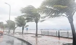 Meteoroloji'den kuvvetli yağış, rüzgar ve don uyarısı