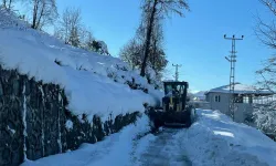 133 köye ulaşım yok! Trabzon'da kar seferberliği