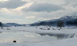 Ağlan Göleti kış güzelliğiyle büyüledi