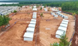 Antalya Büyükşehir'den sokak köpeklerine özel yaşam alanı