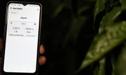 Antalya'da sera üreticisinin don nöbeti tarih oldu