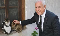 Bursa Büyükşehir patili dostların yanında