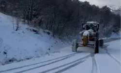 Bursa'da karla kaplı yollar Büyükşehir'le açılıyor