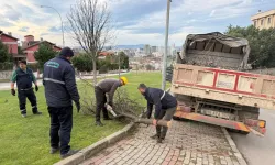 Bursa'da şiddetli lodosun devirdiği ağaçlara Osmangazi'den anında müdahale