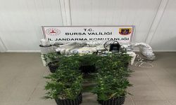 İnegöl'de jandarma göz açtırmıyor