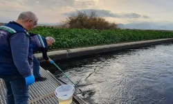 Gediz'de çevre kıyımına geçit yok!