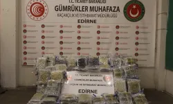 Gümrüklerde kaçakçılığa ağır darbe! Dev operasyonda 1,7 milyar TL'lik yakalama