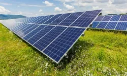 Güneşten üretiyor, doğayı koruyor