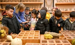 İzmir Bornova'da bin on dokuz yerel tohum güvende