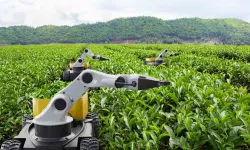 Kamu Teknoloji Platformu 2026'yı 'Kamusal Zekâ Yılı' ilan etti.