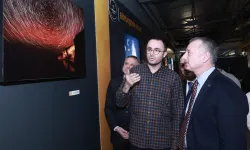 Kocaeli artık kartpostallık bir şehir