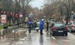 Kocaeli Büyükşehir'de lodos müdahalesi