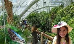 Konya'nın tropikal turizm yıldızı... 2025'te de ziyaretçi akınına uğradı