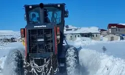 Malatya'da karla mücadele seferberliği