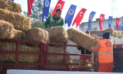 Milas'ta üreticilere yem ve saman desteğine devam