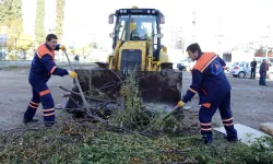 Muratpaşa çevreyi kirletenleri affetmiyor!