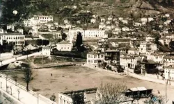 Ordu'da Millet Düzü yeniden hayat buluyor