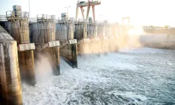 Sakarya'da 716 bin ağaç dikimine eş değer üretim... SASKİ'den 2025'te çifte rekor