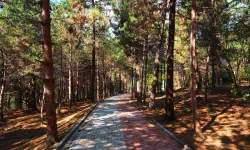 Sakarya'da Sapanca Gölü'nde huzur dolu yaşam alanı açıldı