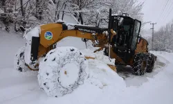 Sakarya'dan kar raporu!