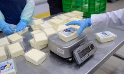 İzmir Büyükşehir'den peynir hamlesi... 500 gramlık kaşar 165 TL