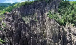 Korunan alan sayısı 692'ye yükseldi