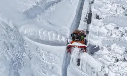 Bahar Van'a gelemedi! Karla mücadele sürüyor