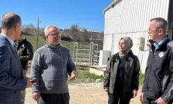Bilecik Pazaryeri'nde tarım ve hayvancılık faaliyetlerine Müdür Ayvalık'tan yerinde inceleme