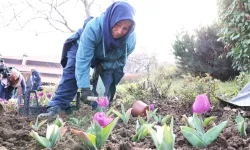 Bursa Osmangazi'nin her bir noktası çiçek açtı