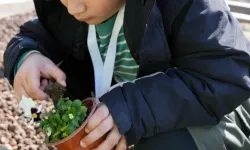 İstanbul Maltepe'de 'tarım parkı' minikleri ağırladı