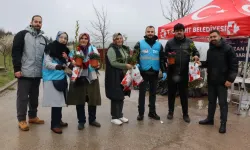 İzmit Belediyesi mezarlıklar için binlerce fide dağıttı