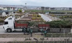 Kayseri Kocasinan'dan ağaç dikme rekoru