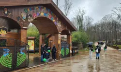 Kocaeli Ormanya bayramda yine zirvede