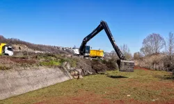 Sakarya Çark Deresi'nde temizlik seferberliği