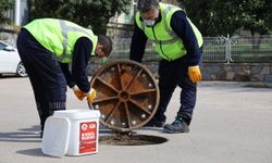 Bursa'da Sinek ve haşereyle etkin mücadele
