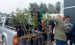 Alanya'nın coğrafi işaretli keçiboynuzuna destek