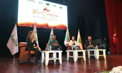 Artvin'de Bal Çalıştayı düzenlendi