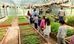 Bursa Osmangazi'de çocuklar toprak sevgisini öğreniyor